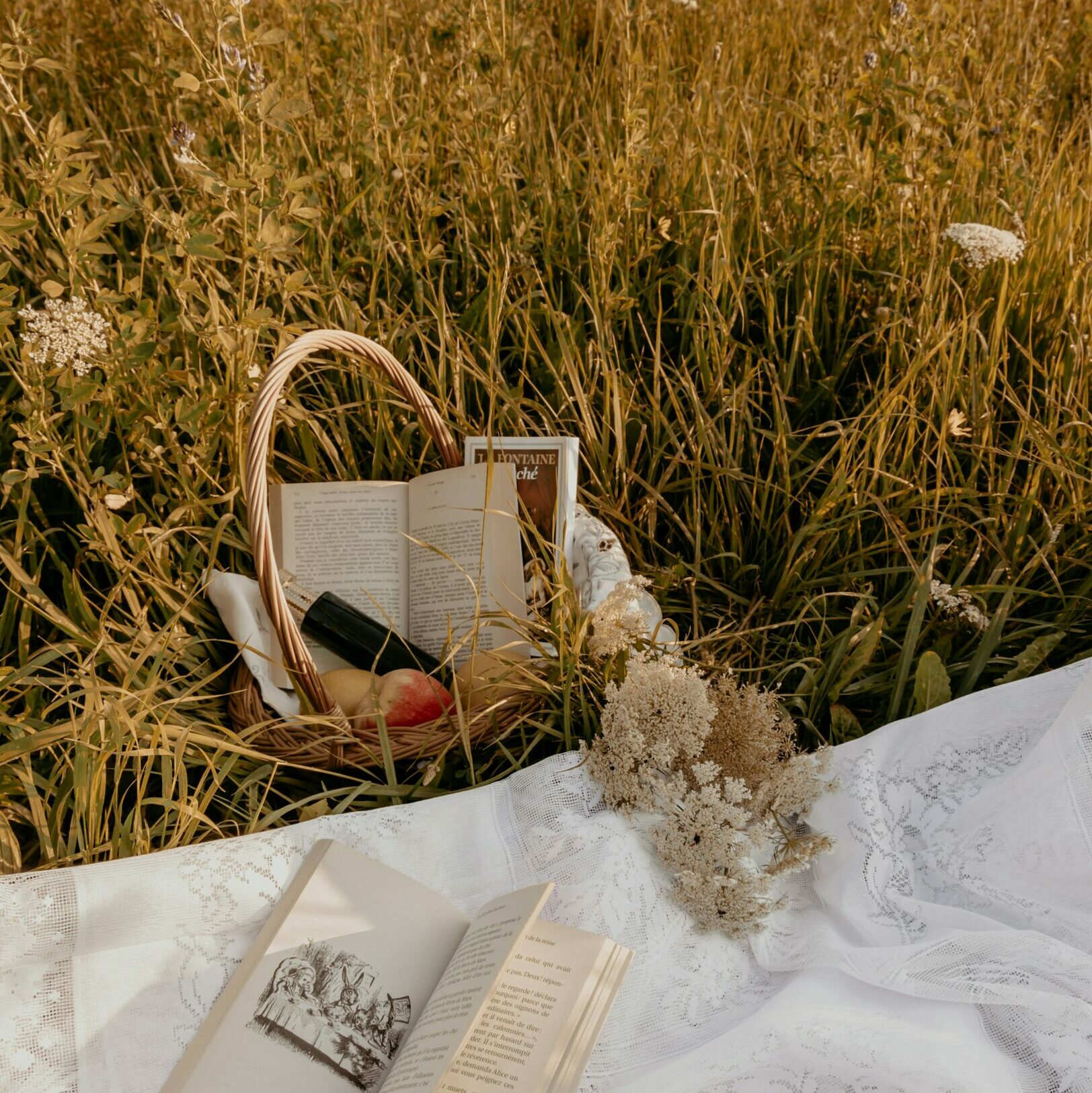 Books, picnic basket, apples, and flowers on a white fabric sheet in a field of grass