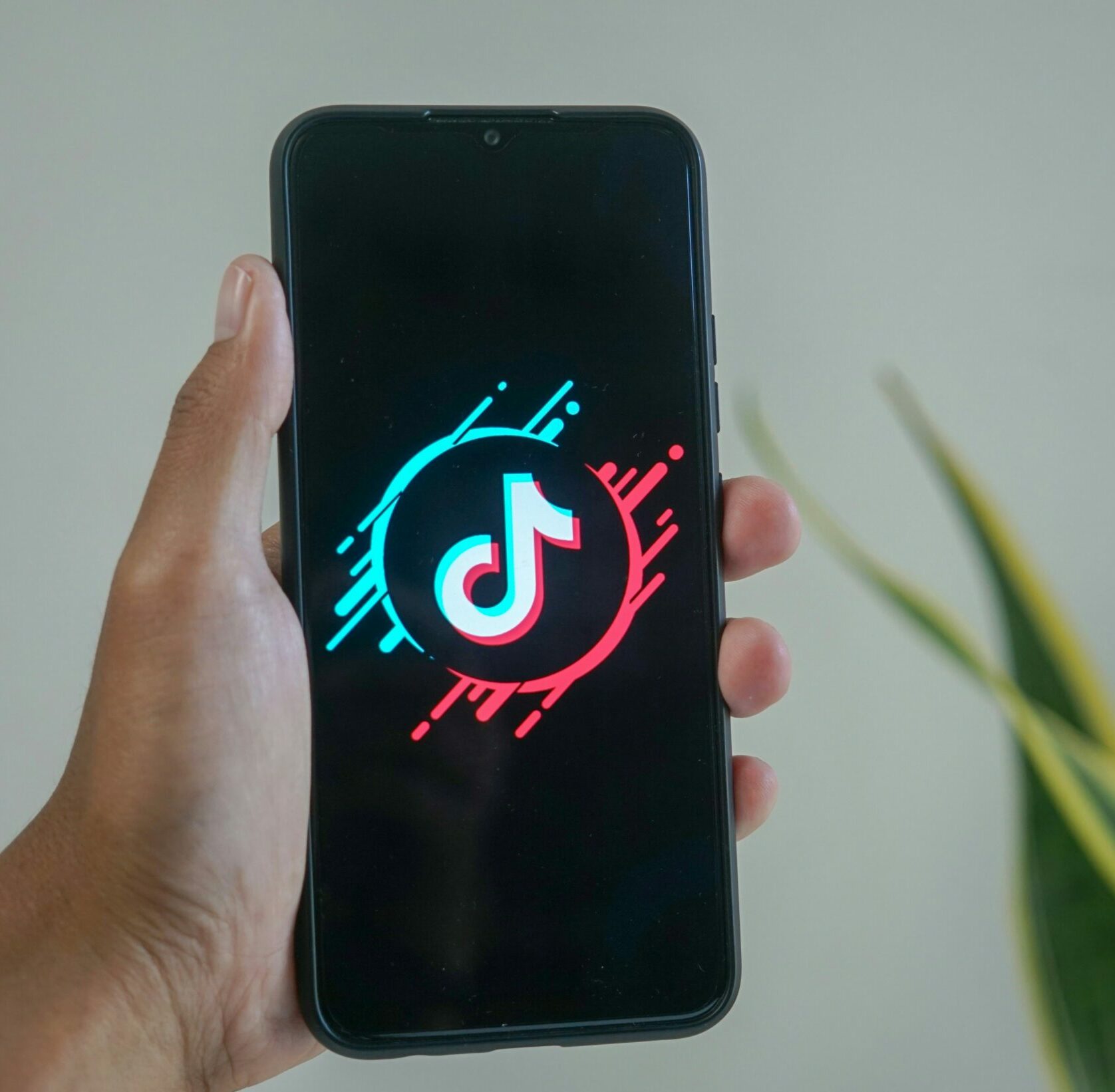 Person holding phone with TikTok logo against white background with green plant in the background